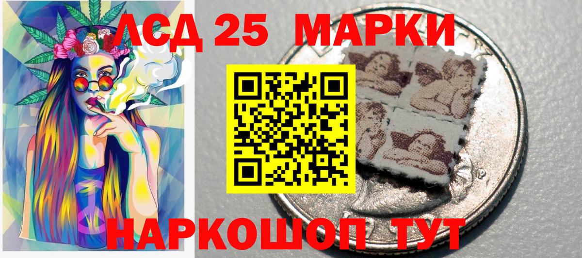 ГАШ Камышин