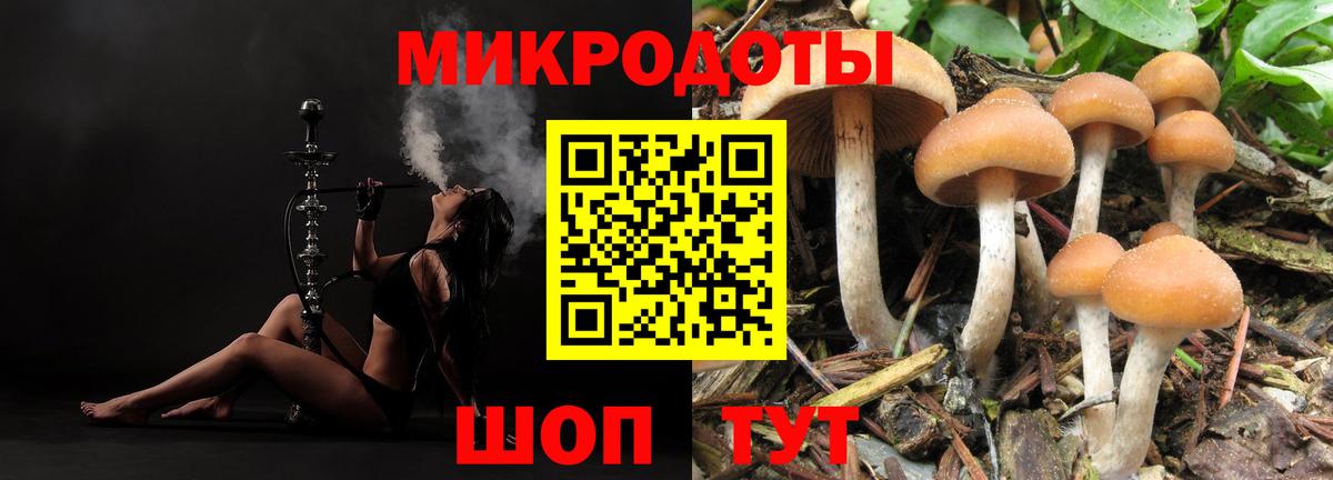 Галлюциногенные грибы прущие грибы Камышин