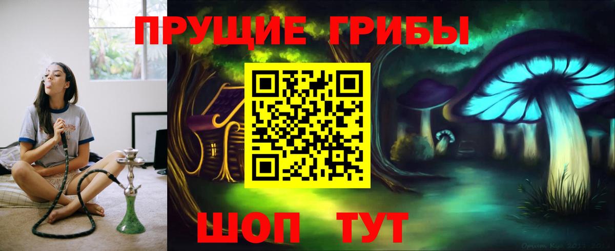 Камышин  Галлюциногенные грибы Psilocybine cubensis  Галлюциногенные грибы Magic Shrooms  Вход с VPN 